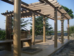 廣州同欣 木塑型材賦能康體設備，引領綠色運動新潮流